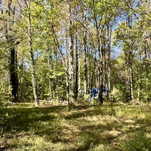 Photo #27 of SOLD property in Off Turkey Track Farms Trail, Nathalie, VA 20.1 acres