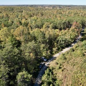 Photo #4 of SOLD property in Off Turkey Track Farms Trail, Nathalie, VA 20.1 acres