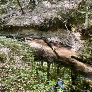 Photo #28 of SOLD property in Off Turkey Track Farms Trail, Nathalie, VA 20.1 acres
