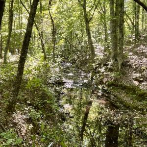 Photo #30 of SOLD property in Off Turkey Track Farms Trail, Nathalie, VA 20.1 acres