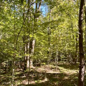 Photo #34 of SOLD property in Off Turkey Track Farms Trail, Nathalie, VA 20.1 acres