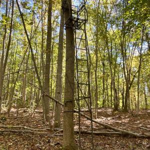 Photo #37 of SOLD property in Off Turkey Track Farms Trail, Nathalie, VA 20.1 acres