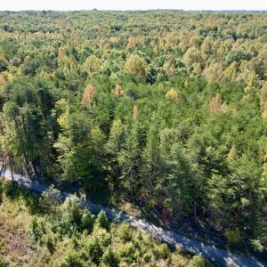 Photo #5 of SOLD property in Off Turkey Track Farms Trail, Nathalie, VA 20.1 acres