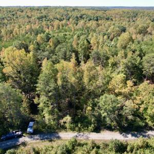 Photo #6 of SOLD property in Off Turkey Track Farms Trail, Nathalie, VA 20.1 acres
