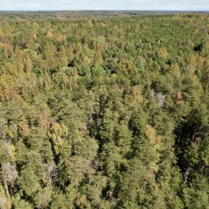 Photo #8 of SOLD property in Off Turkey Track Farms Trail, Nathalie, VA 20.1 acres