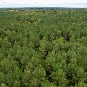 Photo #10 of SOLD property in 627 Sports Lake Road, New Canton, VA 42.6 acres