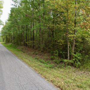 Photo #13 of SOLD property in 627 Sports Lake Road, New Canton, VA 42.6 acres