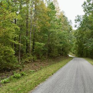 Photo #14 of SOLD property in 627 Sports Lake Road, New Canton, VA 42.6 acres