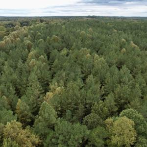 Photo #16 of SOLD property in 627 Sports Lake Road, New Canton, VA 42.6 acres