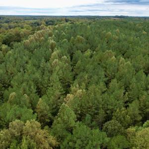 Photo #17 of SOLD property in 627 Sports Lake Road, New Canton, VA 42.6 acres