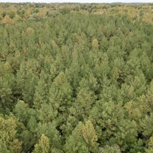 Photo #18 of SOLD property in 627 Sports Lake Road, New Canton, VA 42.6 acres