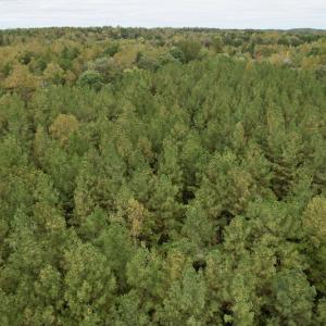 Photo #19 of SOLD property in 627 Sports Lake Road, New Canton, VA 42.6 acres