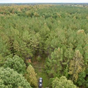 Photo #2 of SOLD property in 627 Sports Lake Road, New Canton, VA 42.6 acres