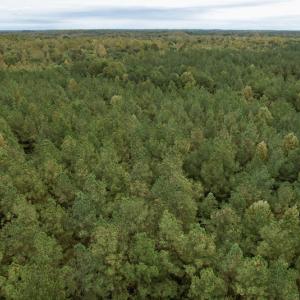 Photo #20 of SOLD property in 627 Sports Lake Road, New Canton, VA 42.6 acres