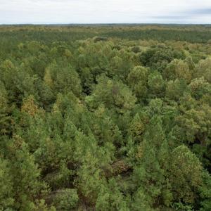 Photo #23 of SOLD property in 627 Sports Lake Road, New Canton, VA 42.6 acres