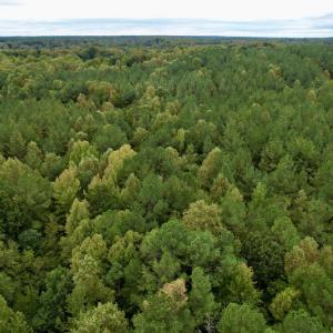 Photo #24 of SOLD property in 627 Sports Lake Road, New Canton, VA 42.6 acres