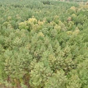 Photo #25 of SOLD property in 627 Sports Lake Road, New Canton, VA 42.6 acres