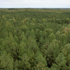 Photo #26 of SOLD property in 627 Sports Lake Road, New Canton, VA 42.6 acres