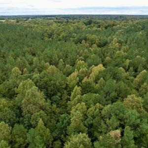 Photo #27 of SOLD property in 627 Sports Lake Road, New Canton, VA 42.6 acres