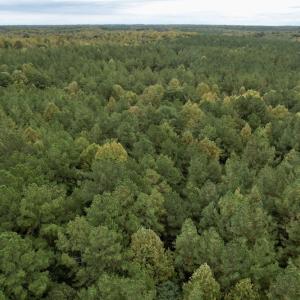 Photo #28 of SOLD property in 627 Sports Lake Road, New Canton, VA 42.6 acres