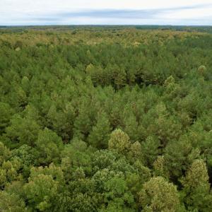 Photo #29 of SOLD property in 627 Sports Lake Road, New Canton, VA 42.6 acres