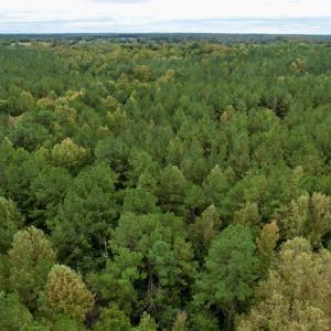 Photo #3 of SOLD property in 627 Sports Lake Road, New Canton, VA 42.6 acres