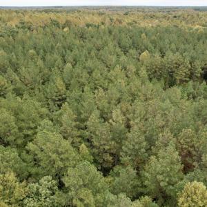 Photo #30 of SOLD property in 627 Sports Lake Road, New Canton, VA 42.6 acres