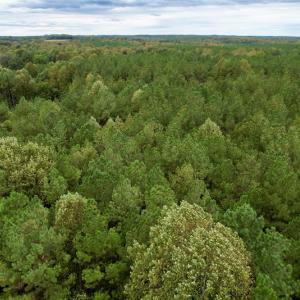 Photo #31 of SOLD property in 627 Sports Lake Road, New Canton, VA 42.6 acres