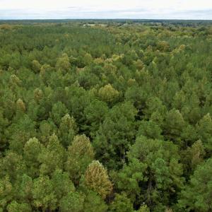 Photo #33 of SOLD property in 627 Sports Lake Road, New Canton, VA 42.6 acres