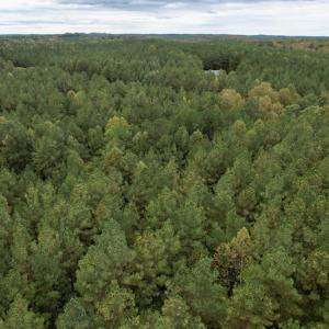Photo #34 of SOLD property in 627 Sports Lake Road, New Canton, VA 42.6 acres