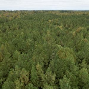 Photo #35 of SOLD property in 627 Sports Lake Road, New Canton, VA 42.6 acres