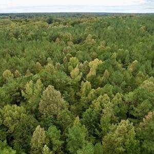 Photo #36 of SOLD property in 627 Sports Lake Road, New Canton, VA 42.6 acres