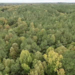 Photo #37 of SOLD property in 627 Sports Lake Road, New Canton, VA 42.6 acres