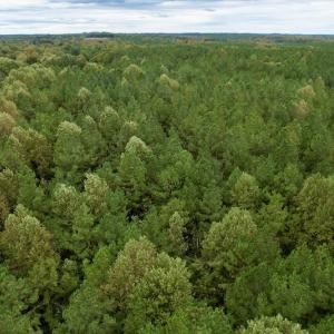 Photo #38 of SOLD property in 627 Sports Lake Road, New Canton, VA 42.6 acres