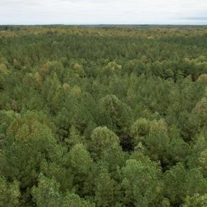 Photo #39 of SOLD property in 627 Sports Lake Road, New Canton, VA 42.6 acres
