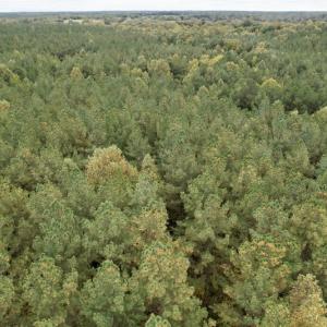 Photo #41 of SOLD property in 627 Sports Lake Road, New Canton, VA 42.6 acres