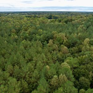 Photo #42 of SOLD property in 627 Sports Lake Road, New Canton, VA 42.6 acres