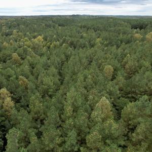 Photo #43 of SOLD property in 627 Sports Lake Road, New Canton, VA 42.6 acres