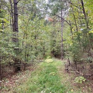 Photo #44 of SOLD property in 627 Sports Lake Road, New Canton, VA 42.6 acres