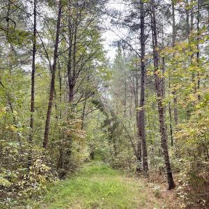Photo #45 of SOLD property in 627 Sports Lake Road, New Canton, VA 42.6 acres