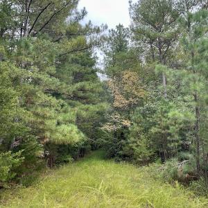 Photo #46 of SOLD property in 627 Sports Lake Road, New Canton, VA 42.6 acres