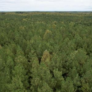 Photo #5 of SOLD property in 627 Sports Lake Road, New Canton, VA 42.6 acres
