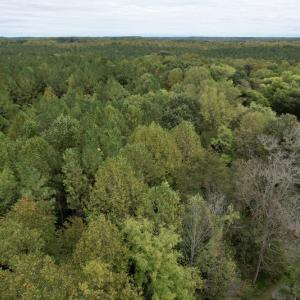 Photo #6 of SOLD property in 627 Sports Lake Road, New Canton, VA 42.6 acres