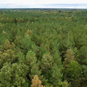 Photo #7 of SOLD property in 627 Sports Lake Road, New Canton, VA 42.6 acres