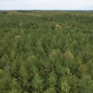 Photo #8 of SOLD property in 627 Sports Lake Road, New Canton, VA 42.6 acres