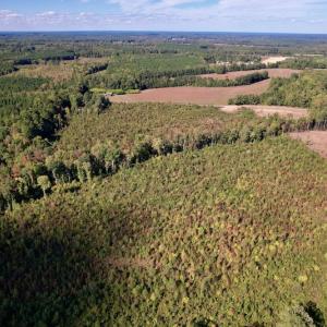 Photo #9 of SOLD property in Off Warrenton-Embro Road, Warrenton, NC 38.0 acres
