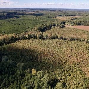 Photo #10 of SOLD property in Off Warrenton-Embro Road, Warrenton, NC 38.0 acres