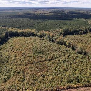 Photo #12 of SOLD property in Off Warrenton-Embro Road, Warrenton, NC 38.0 acres