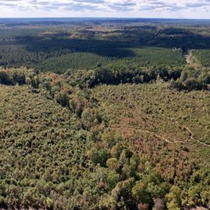 Photo #13 of SOLD property in Off Warrenton-Embro Road, Warrenton, NC 38.0 acres