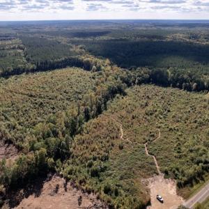 Photo #14 of SOLD property in Off Warrenton-Embro Road, Warrenton, NC 38.0 acres